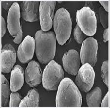 High-Grade Graphite Anode Material For Lithium-ion Battery