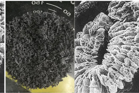 +100 Mesh High Carbon Expanded Graphite